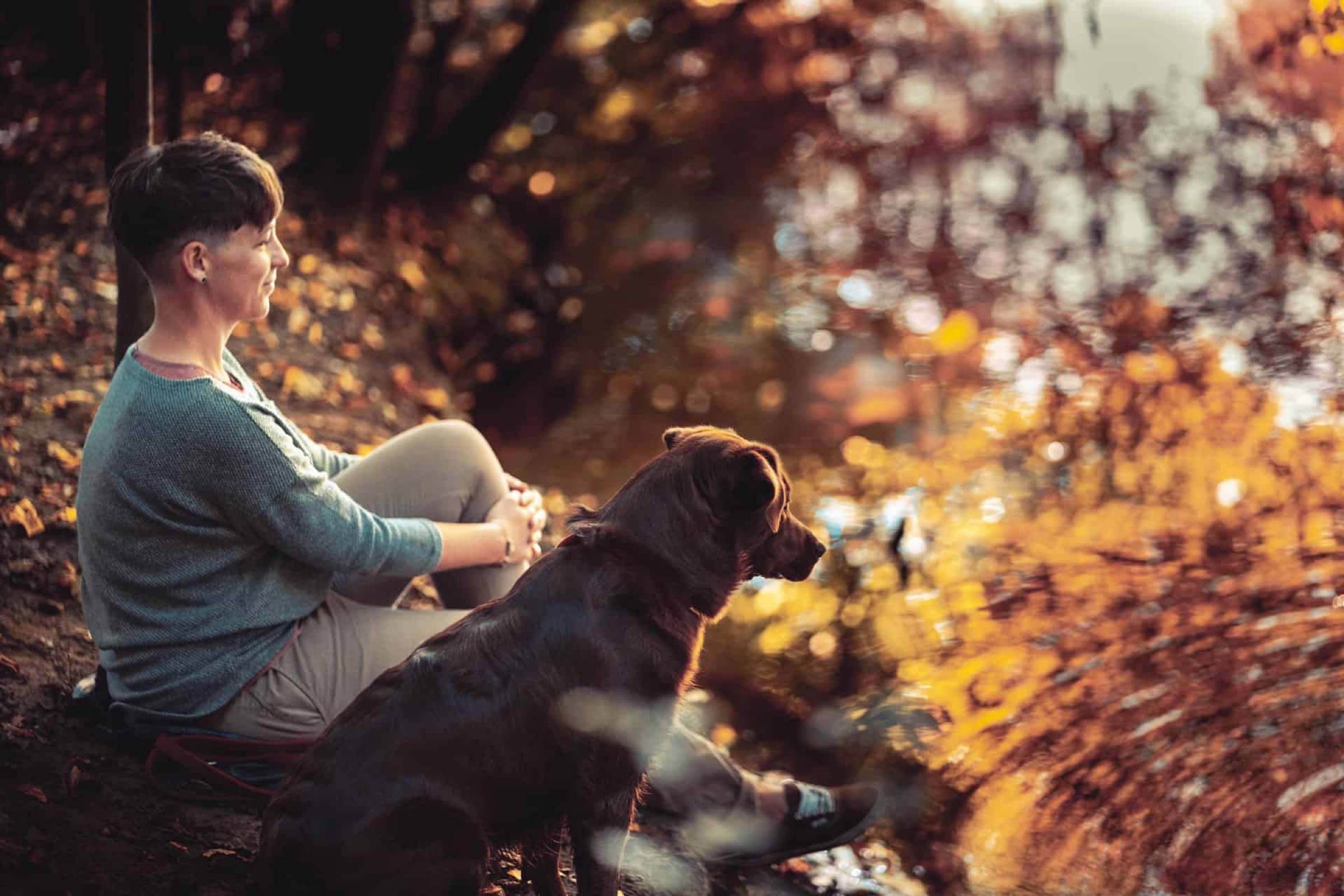 Tierfotograf in Verden - Anna Lorek Fotografie