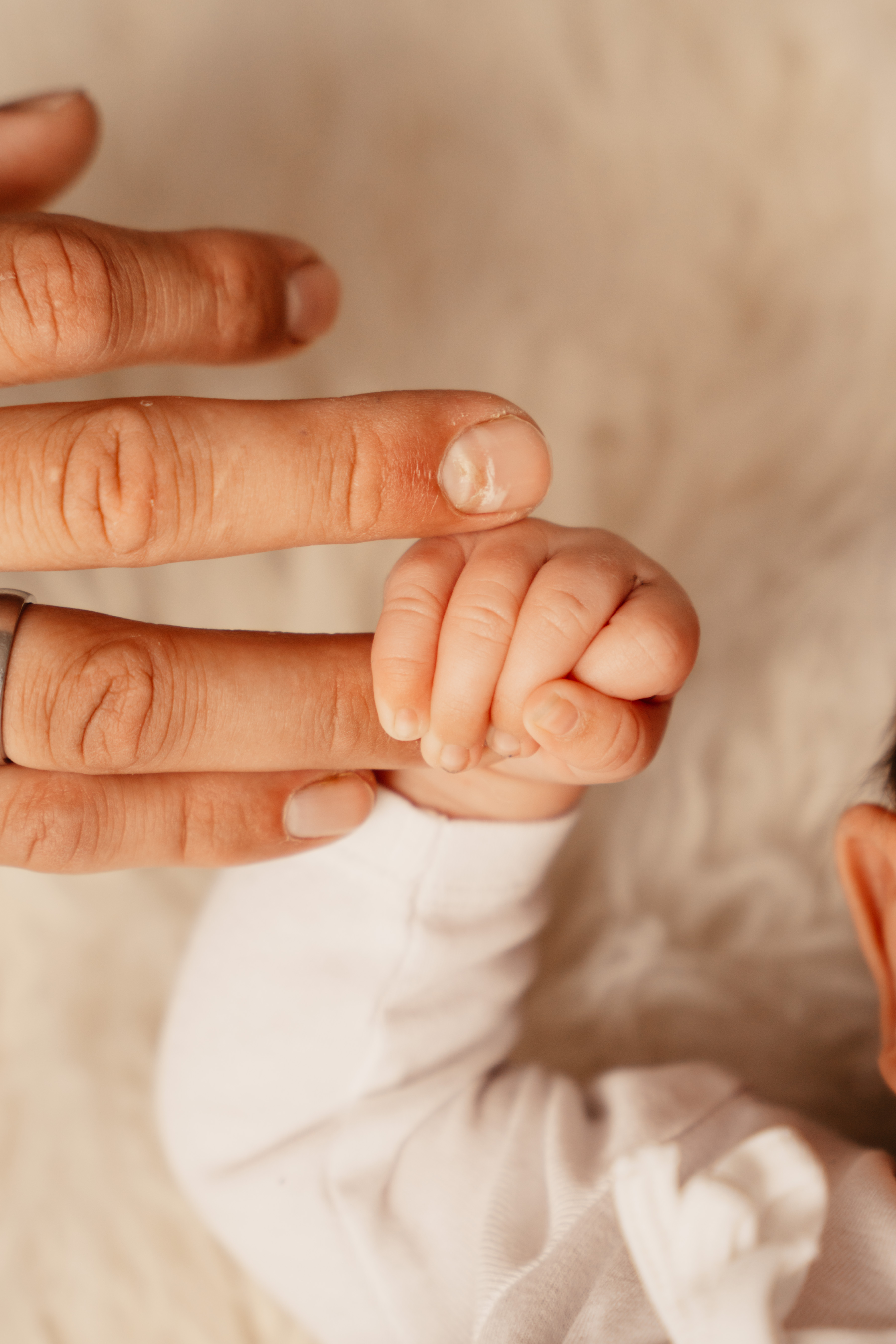 Baby Ernst im Körbchen
